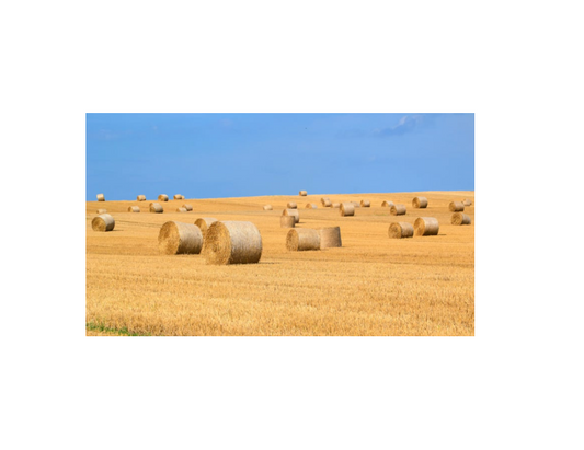 Hay & Straw shortage 2025