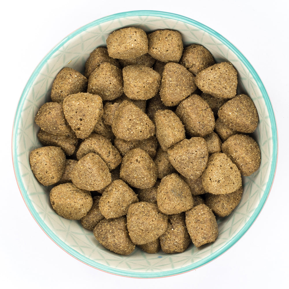 Burns Adult Dog Food Large & Giant Breed Original Chicken & Rice 12kg