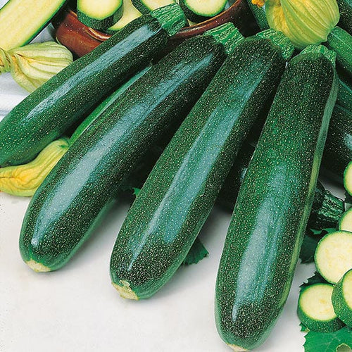 Mr Fothergill's Vegetable Seeds Courgette Zucchini - 20 Seeds