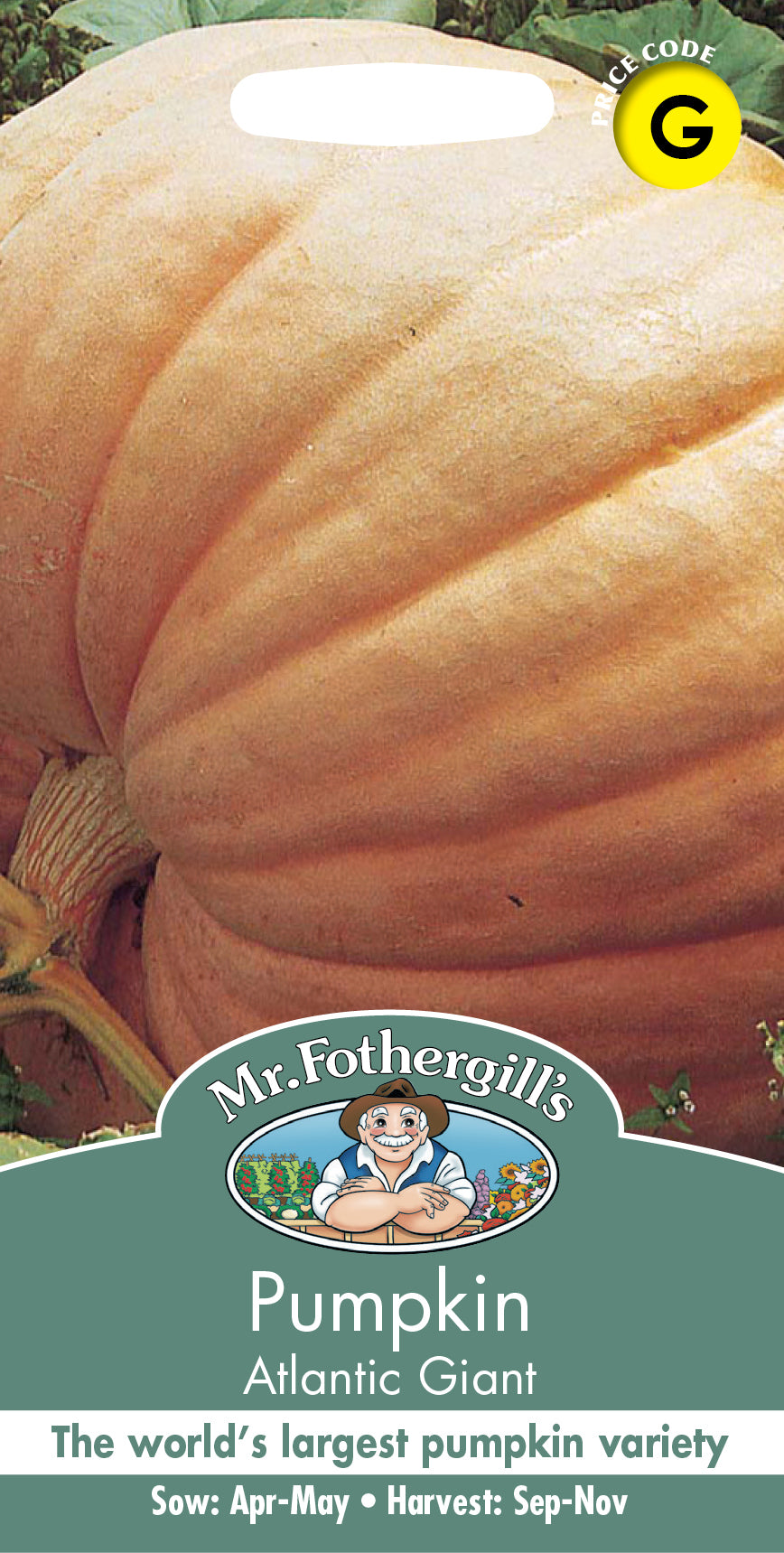Mr Fothergill's Vegetable Seeds Pumpkin Atlantic Giant - 10 Seeds