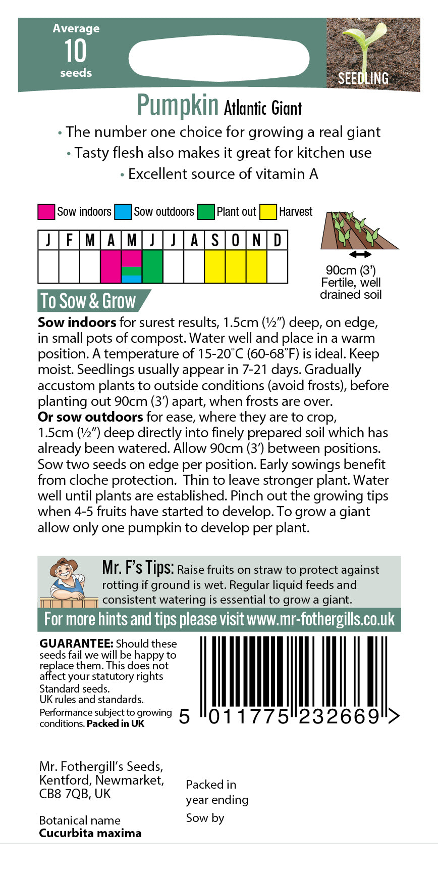 Mr Fothergill's Vegetable Seeds Pumpkin Atlantic Giant - 10 Seeds