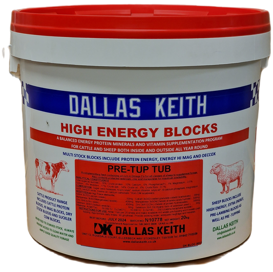 Dallas Keith FeedMins Block Pre Tupping 20Kg