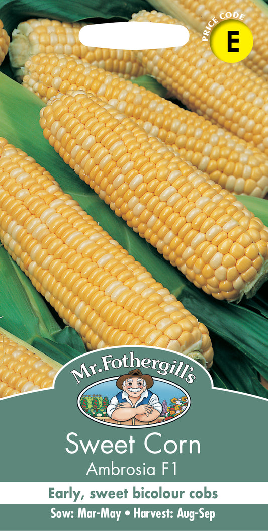 Mr Fothergill's SWEET CORN Ambrosia F1