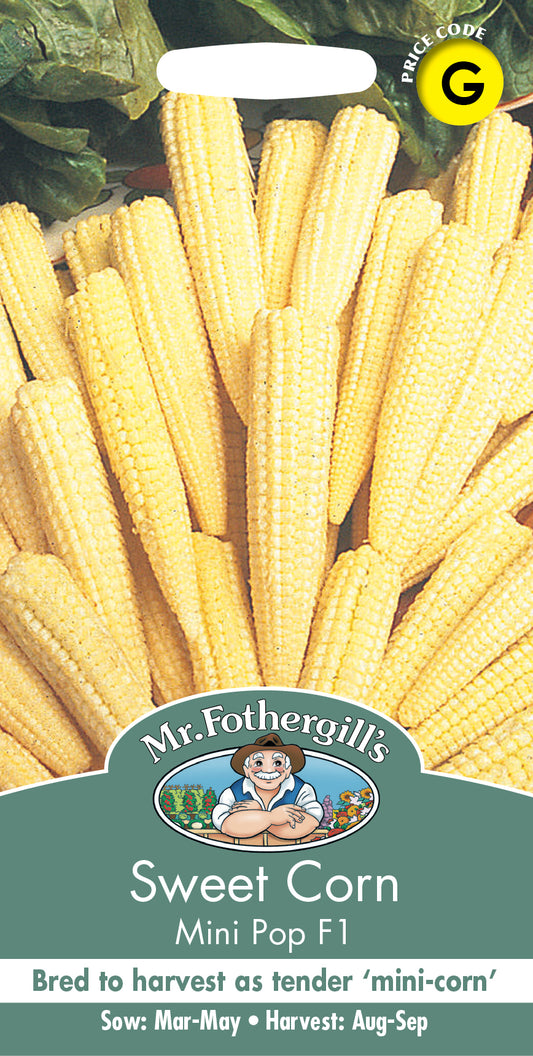 Mr Fothergill's SWEET CORN Minipop F1