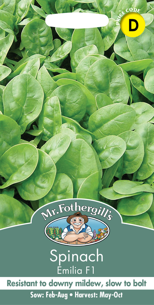 Mr Fothergill's SPINACH Emilia F1