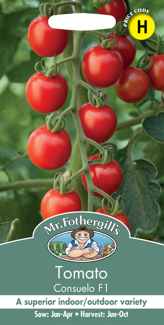 Mr Fothergill's TOMATO Consuelo F1