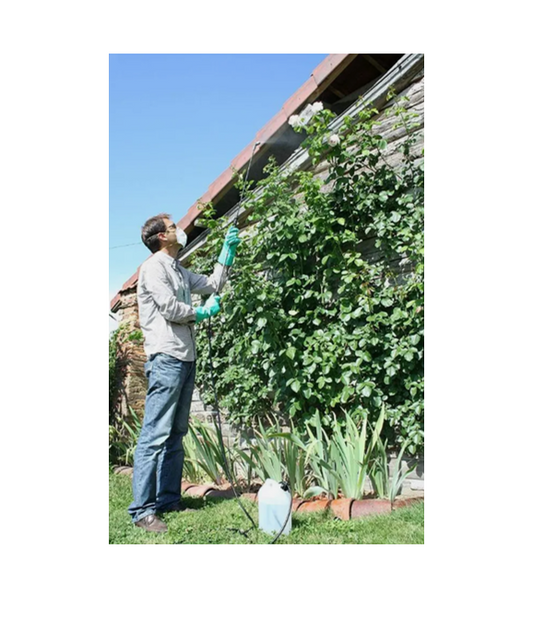 Hozelock 4411 Seringa Multi-use Sprayer