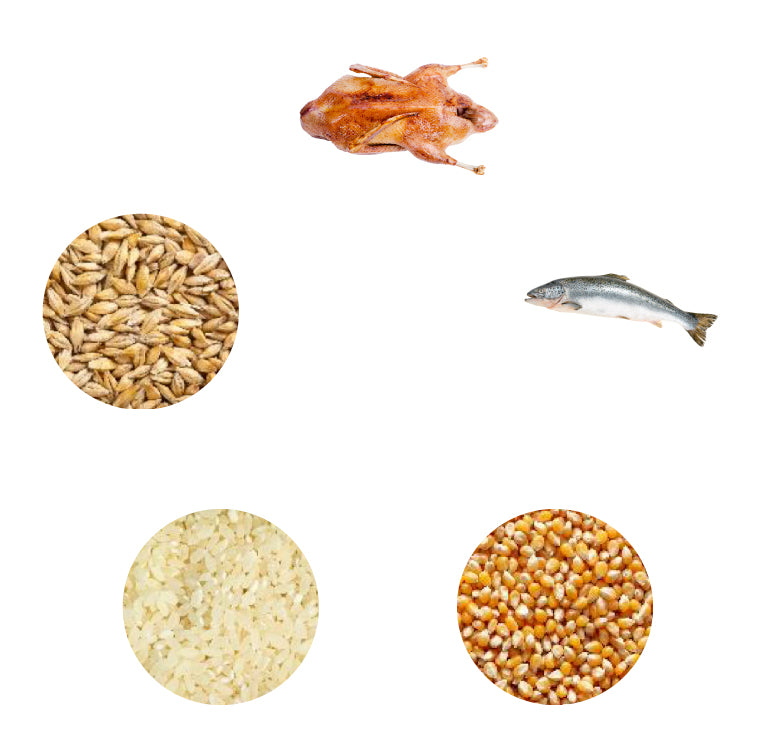 Dr John Hypoallergenic Duck & Salmon Dog Food