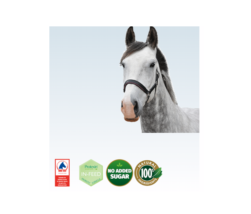 Dengie Ulser Lite 20Kg