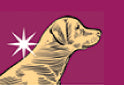Dr John Hypoallergenic Duck & Salmon Dog Food