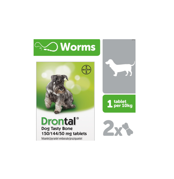 Drontal tasty bone best sale