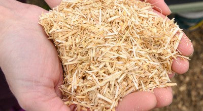 Sundown Egg-E-Bed Poultry Bedding 19Kg