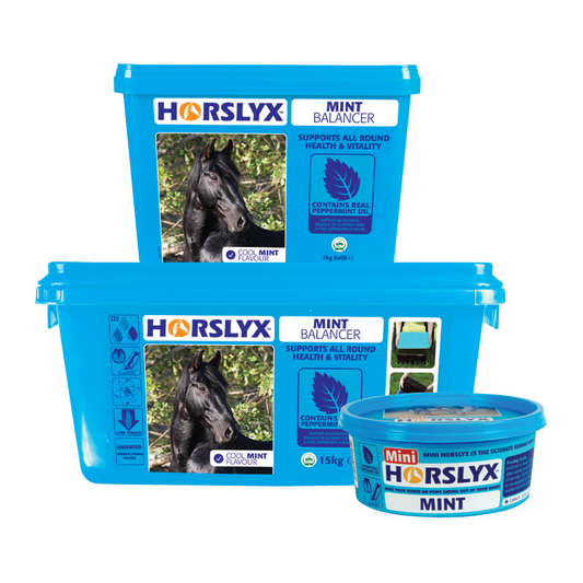 Horslyx Balancer Mint