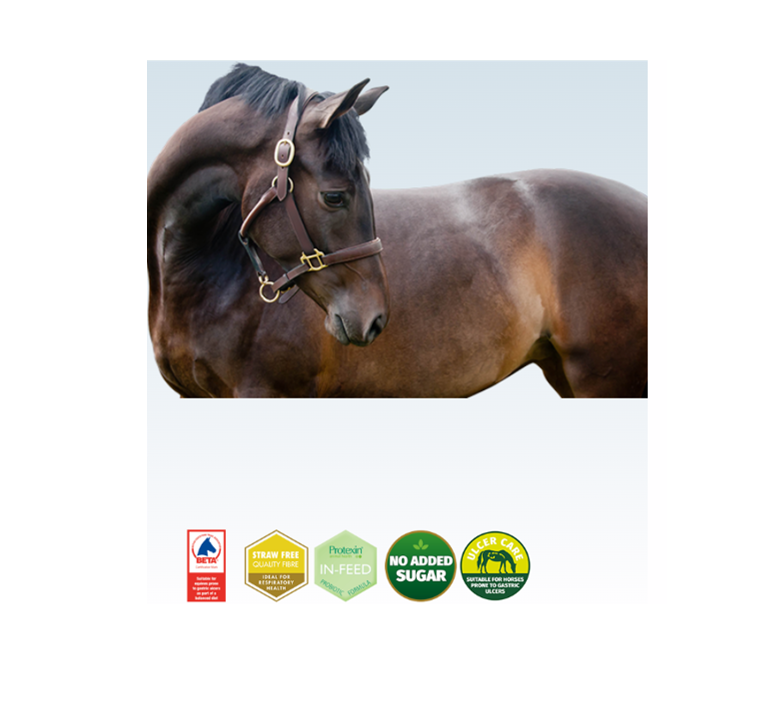 Dengie Healthy Tummy 20Kg