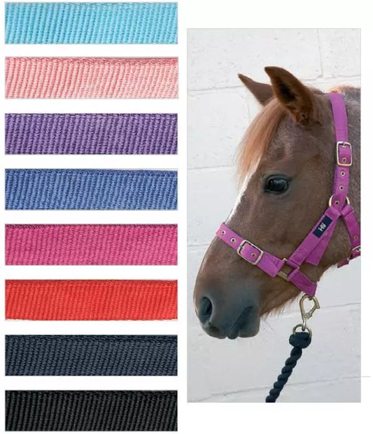 Hy Equestrian Holly Fully Adjustable Head Collar - Various Colours