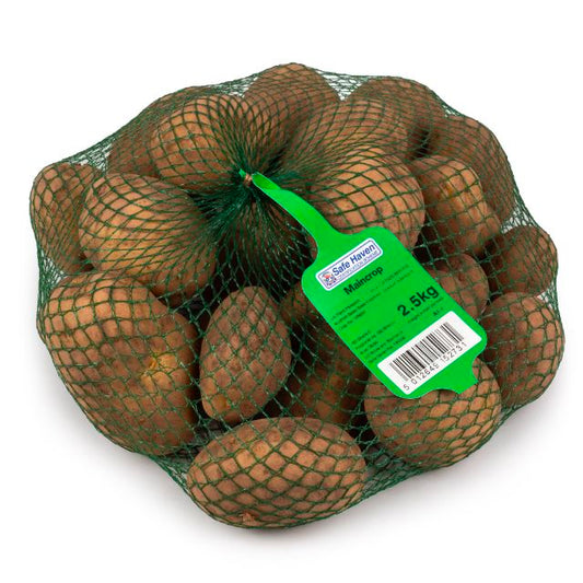 Seed Potato Main Crop - King Edward