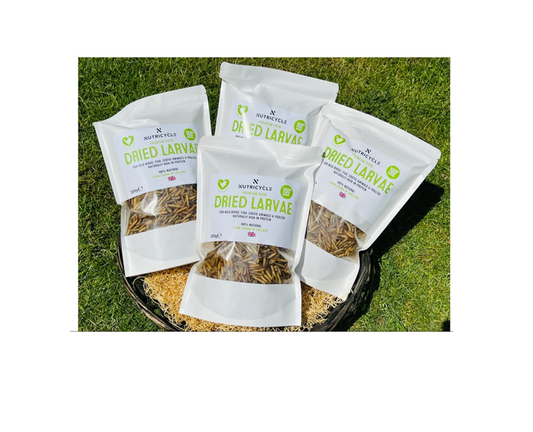 Nutricycle Premium Oven Dried Larvae 300g