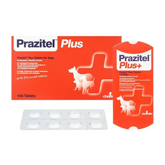 Chanelle Prazitel Plus Dog Wormer POM-VPS