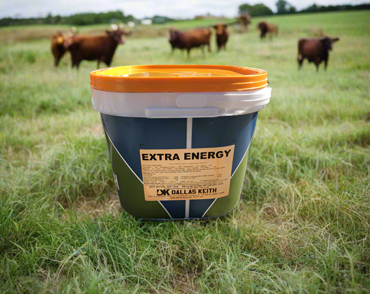 Dallas Keith Extra Energy for Cattle & Sheep 20kg