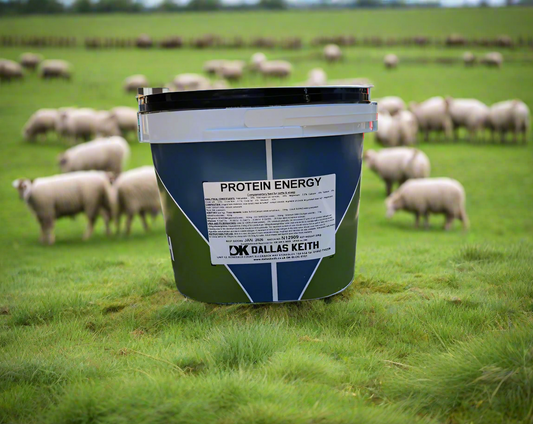 Dallas Keith Protein Energy for Sheep & Cattle 20Kg