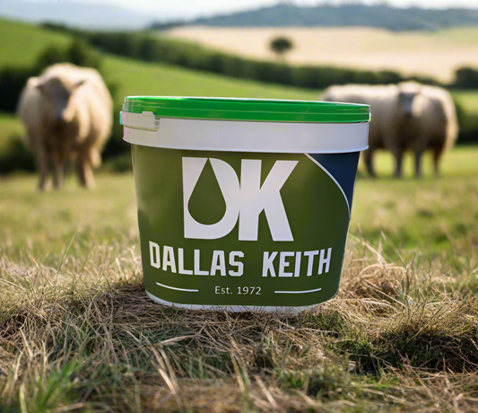 Dallas Keith Feed Block Energy Hi Mag Energy 20Kg