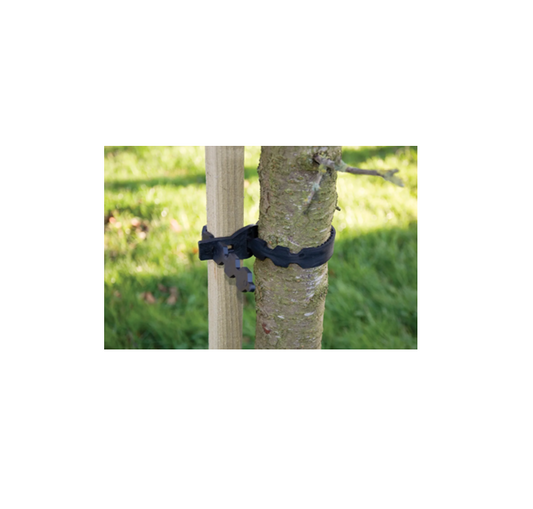 The Good Life Tree Ties (Various Sizes)