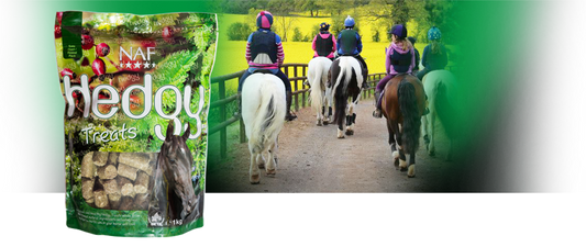 NAF Treats Hedgy 1Kg