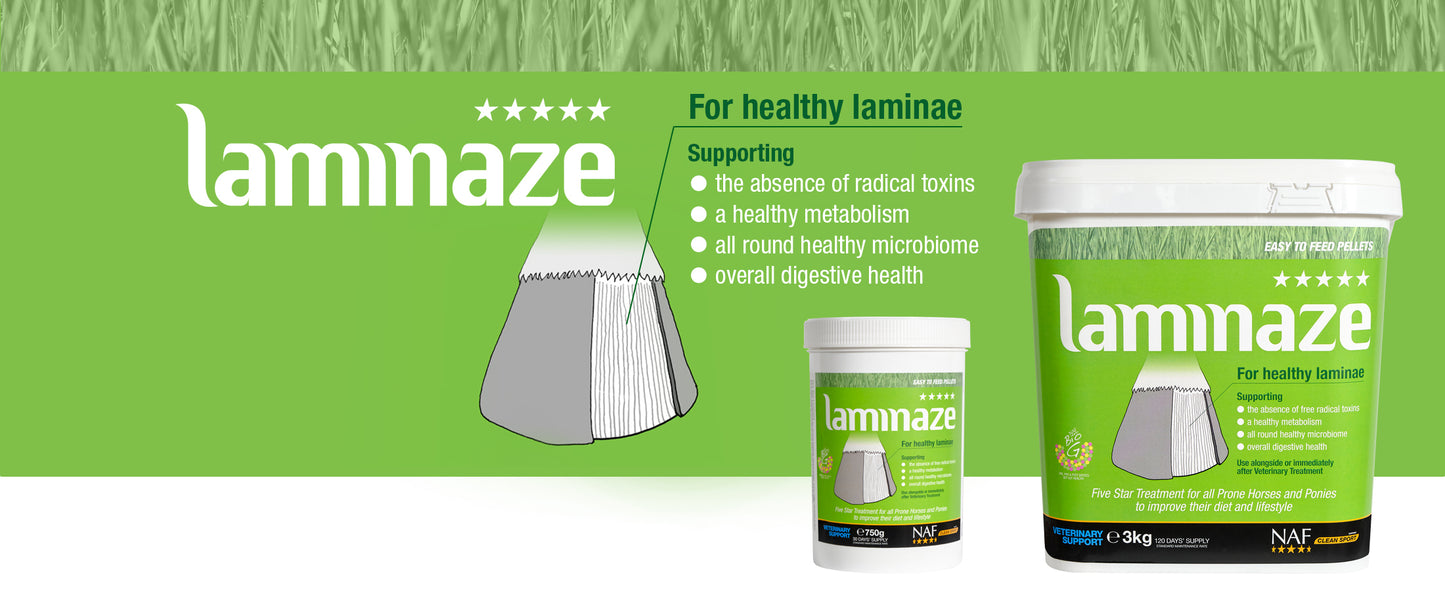 NAF 5 Star Laminaze Pellets