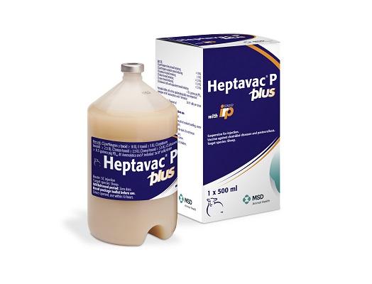 MSD Heptavac® P Plus Vaccine For Sheep POM-VPS