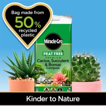 Miracle-Gro® Peat Free Premium Cactus Succulent & Bonsai Compost 10L