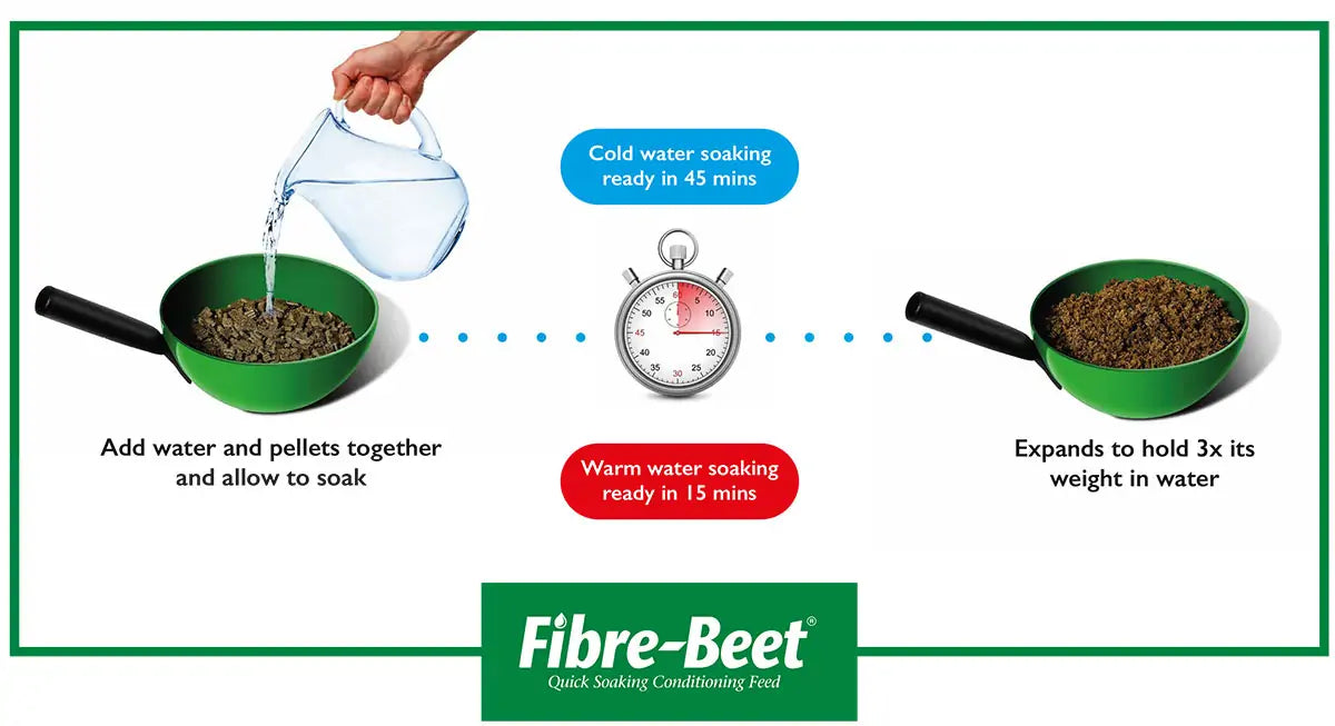 British Horse Feeds Fibre Beet 20Kg