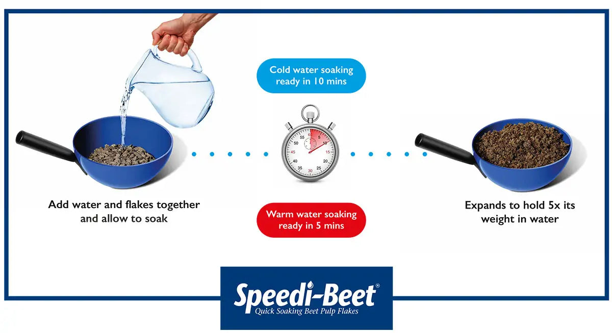 British Horse Feeds Speedi Beet 20kg