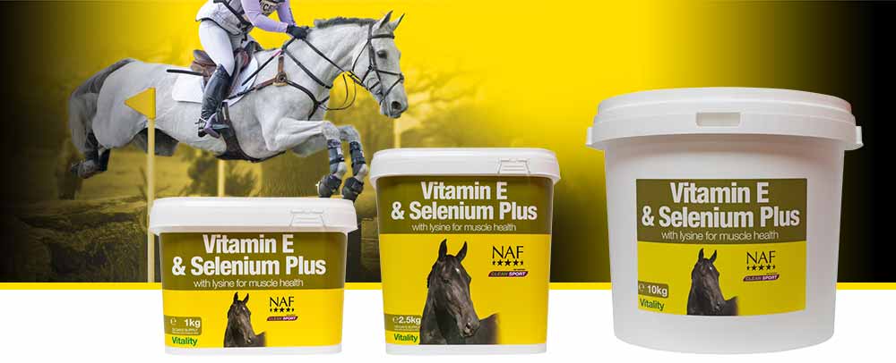 NAF Vitamin E & Selenium Plus Lysine