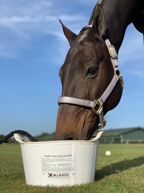 Dallas Keith Equine Flexi Tub For Digestion 12,5Kg