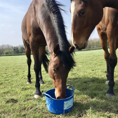 Dallas Keith Equine Flexi Tub Feed Essential 12.5Kg