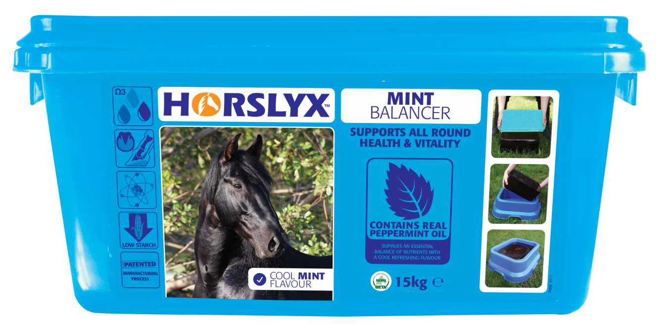 Horslyx Balancer Mint