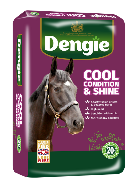 Dengie Cool Condition & Shine