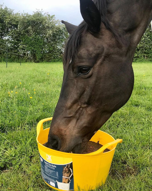 Dallas Keith Equine Flexi Tub +Garlic 12.5Kg