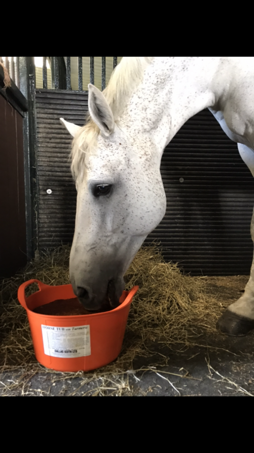 Dallas Keith Equine Flexi Tub +Turmeric 12.5Kg