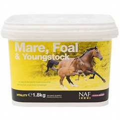 NAF Mare Foal & Youngstock