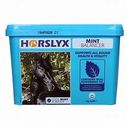 Horslyx Balancer Mint