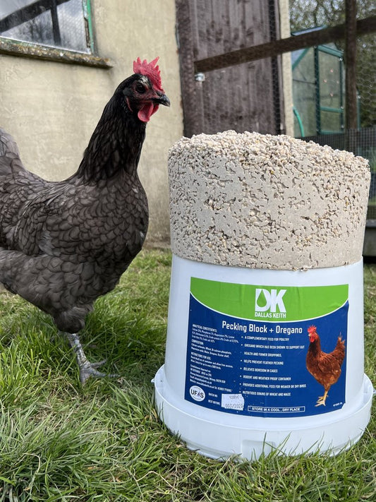 Dallas Keith Poultry Pecking Feed Block