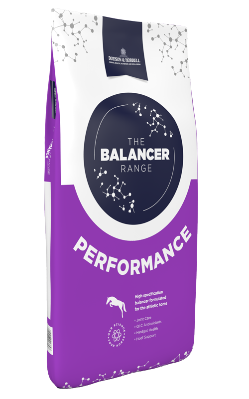 Dodson & Horrell Performance Balancer 15Kg