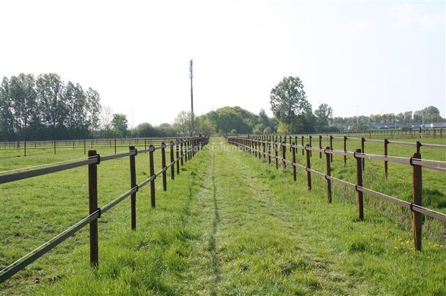 Hippo Safety Fence Brown Tape 100m