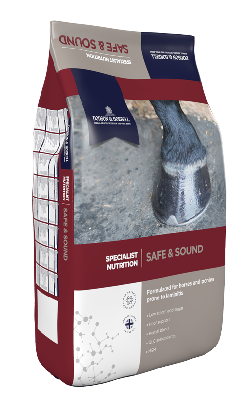 Dodson & Horrell Safe & Sound