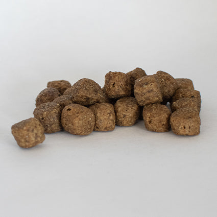 Field & Trial Turkey & Rice Complete Working Dog Food With Joint Aid