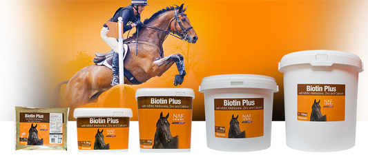 NAF Biotin Plus