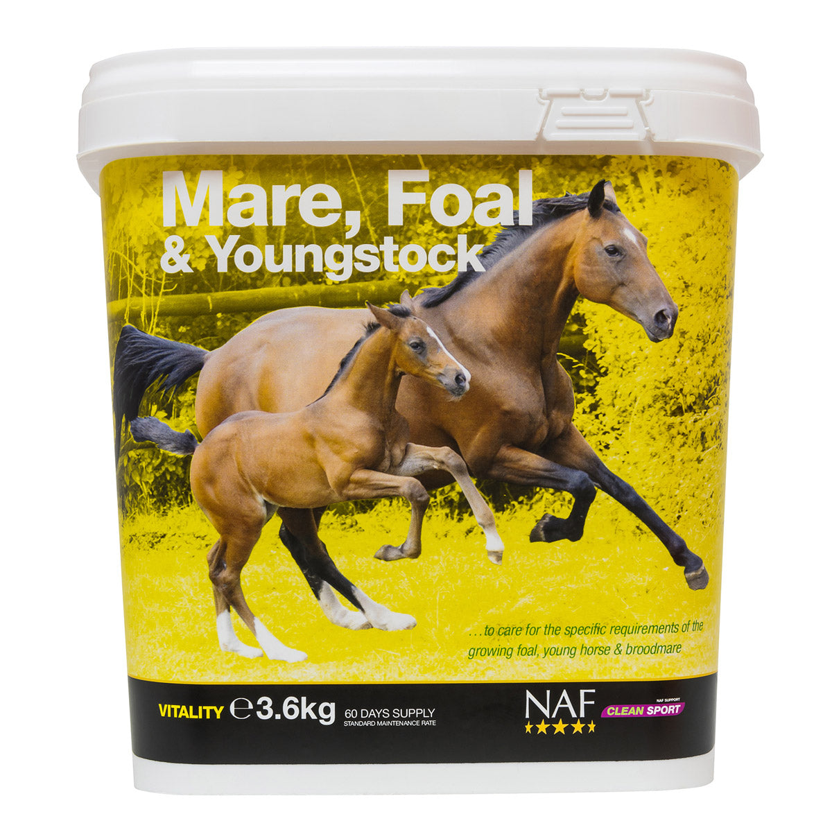 NAF Mare Foal & Youngstock