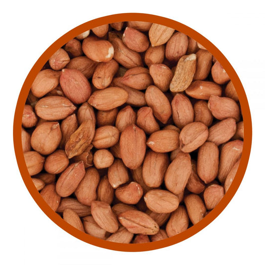 Plain Bag Peanuts Wild Bird Feed 25Kg
