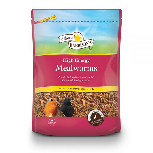 Walter Harrisons High Energy Mealworms